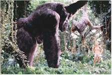 Mighty Joe Young