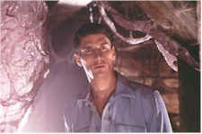 Species II