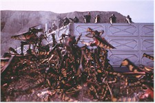 Starship Troopers